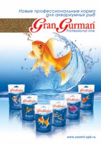 Плакат Gran Gurman